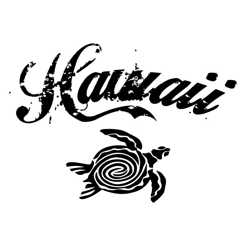 Hawaii turtle