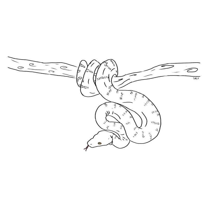 Snake (b&w)