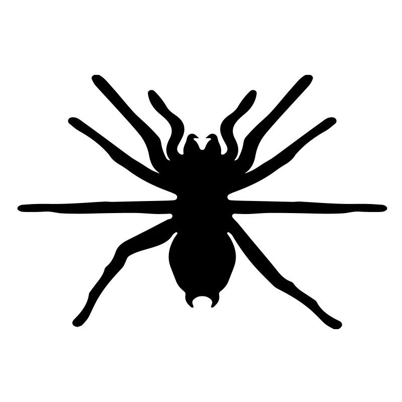 spider