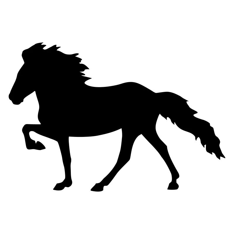 Isländer Tölt