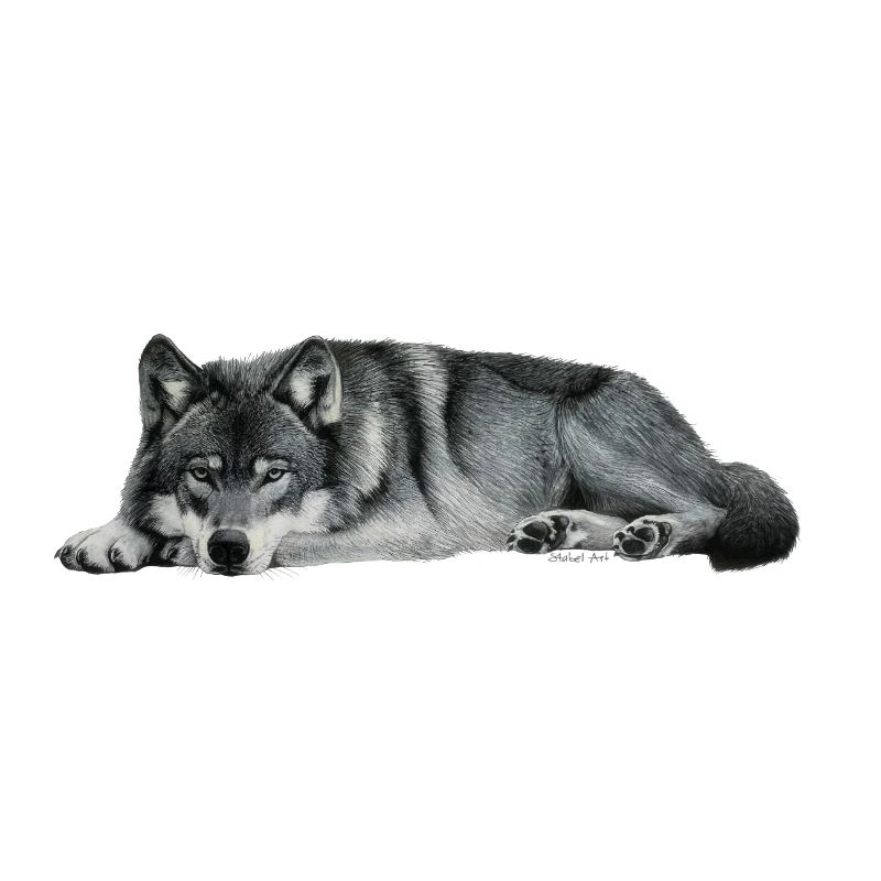 wolf