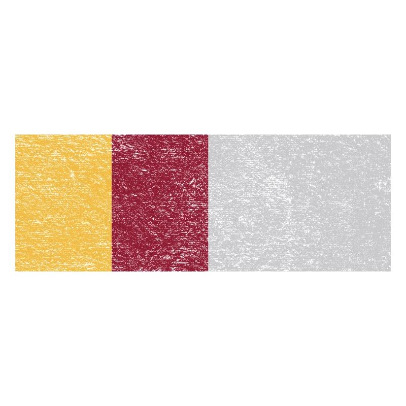 Drapeau des Roms