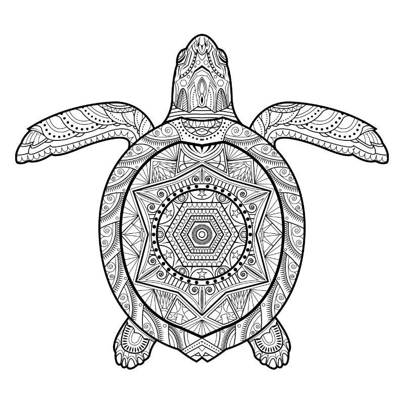 Turtle Mandala Turtle Art Abstract
