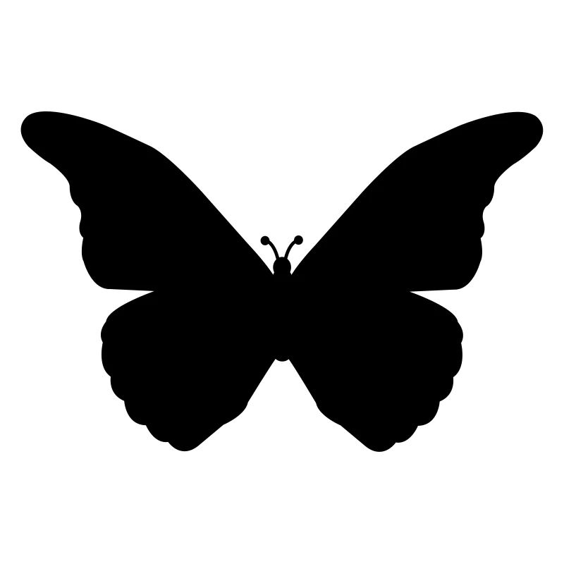 schmetterling