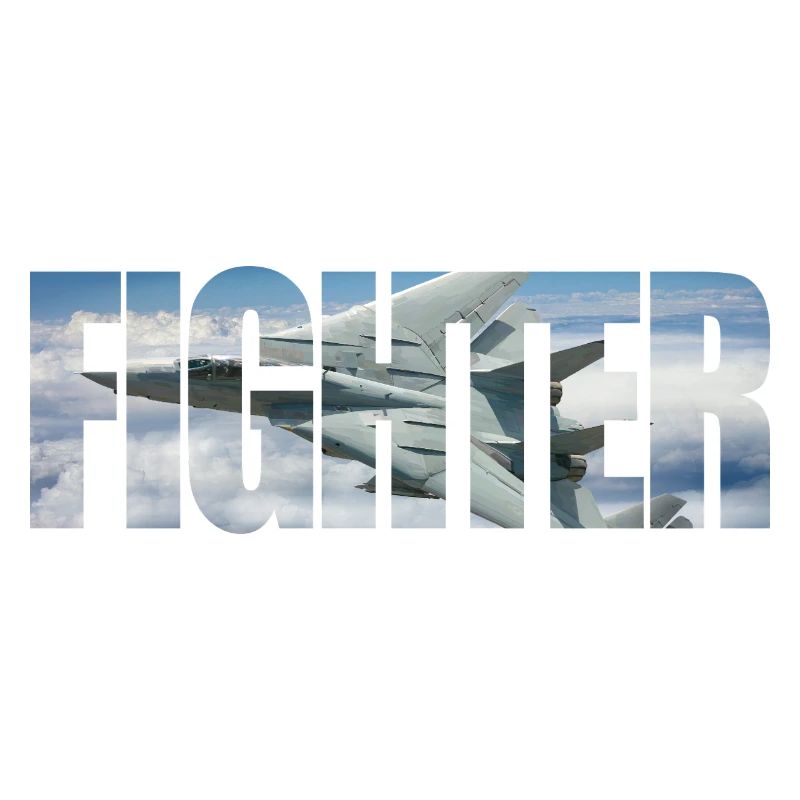 Fighter F-14 Tomcat