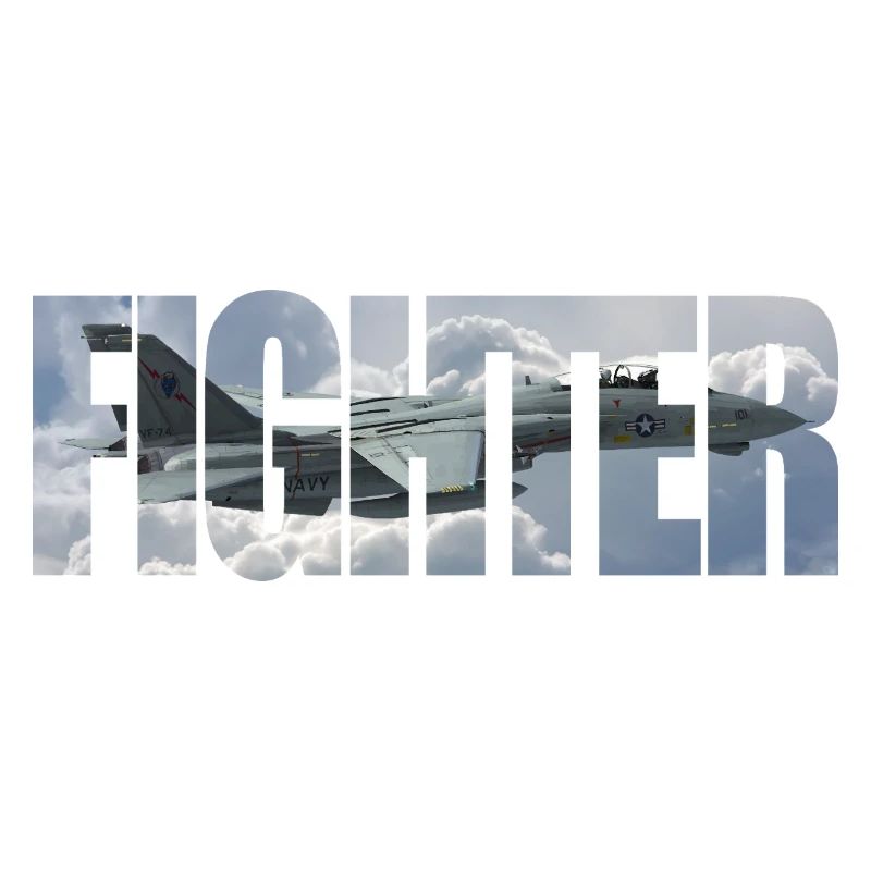 Fighter F-14 Tomcat