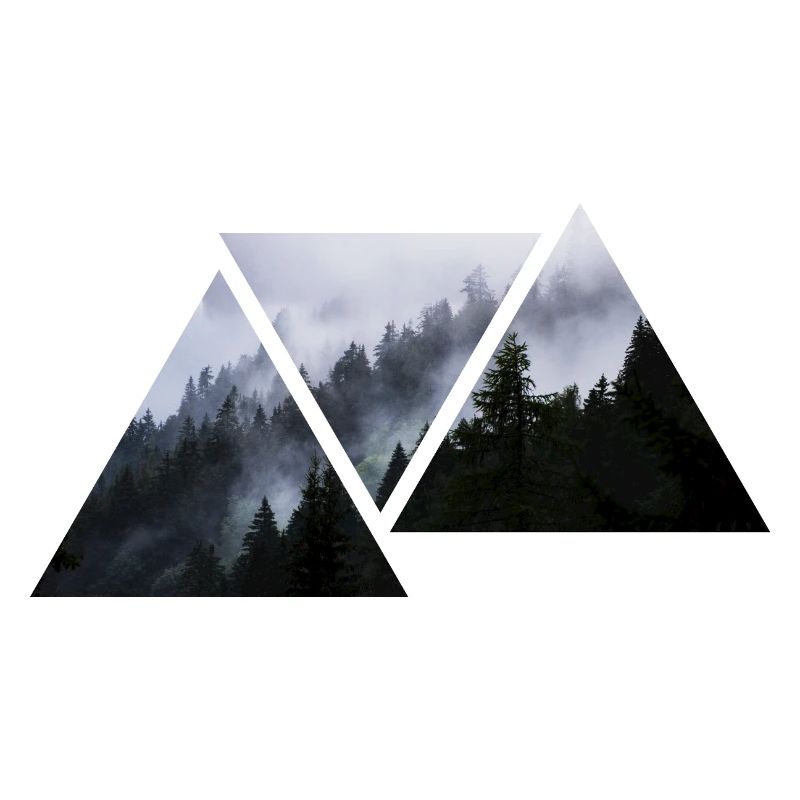 Fir forest and cloud Alps leewarddesign