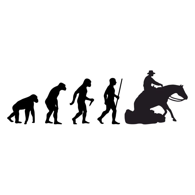 Evolution Sliding Stop Reining