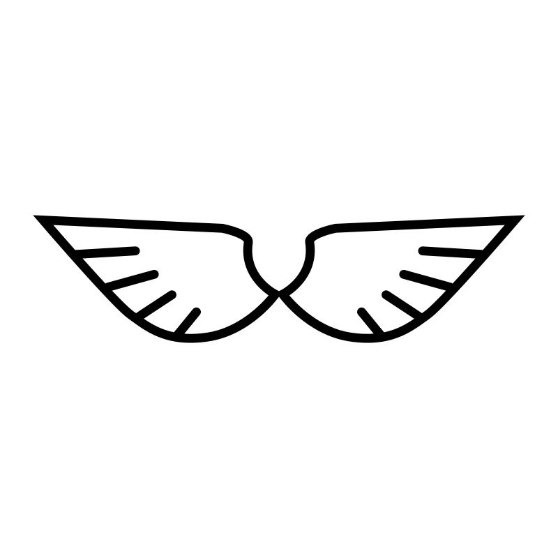 Wings