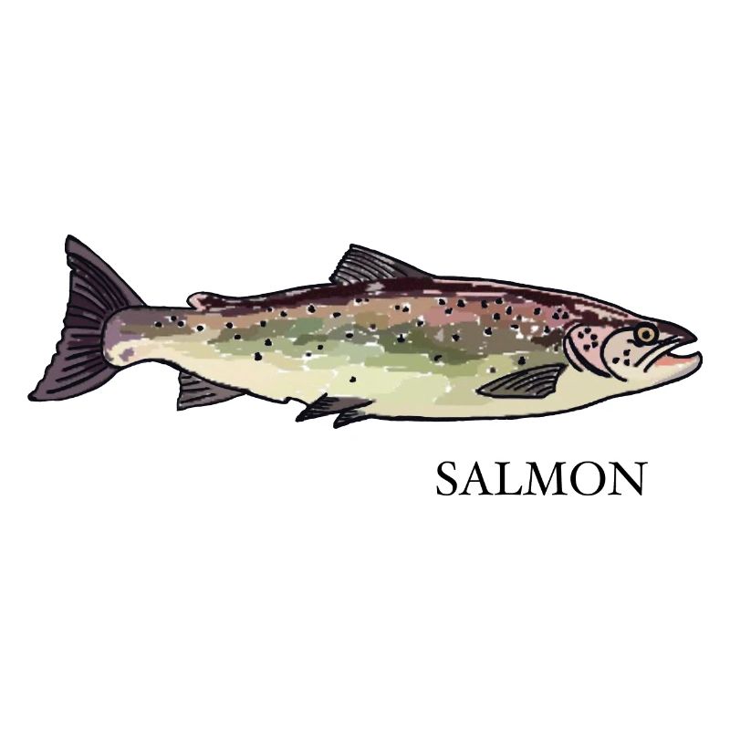Salmon/ Lachs