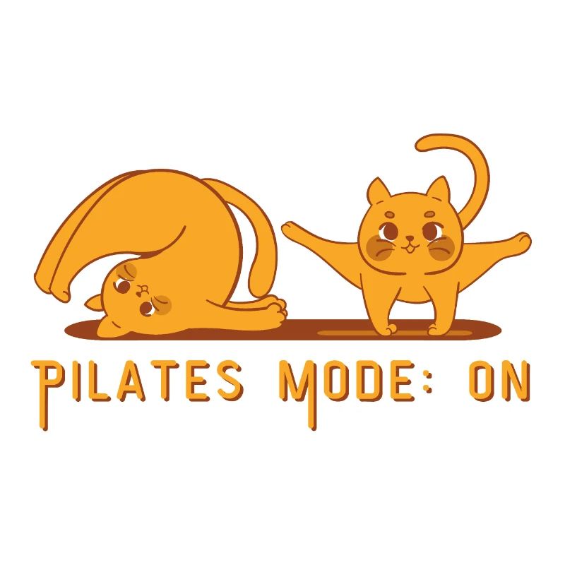 DIE PILATES KATZEN. Pilates Mode: ON