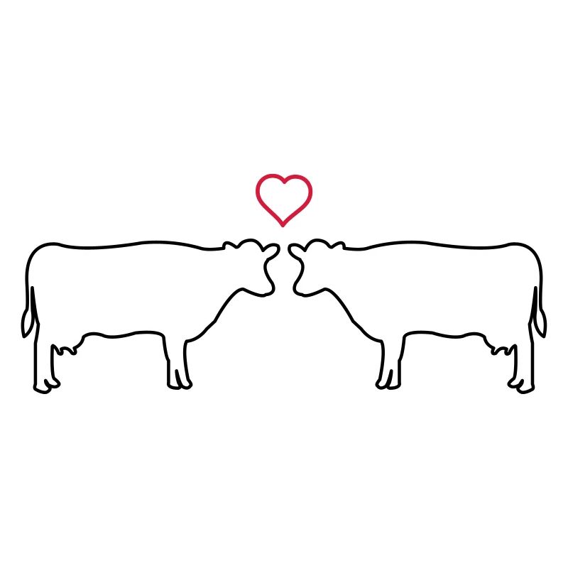 cows in love