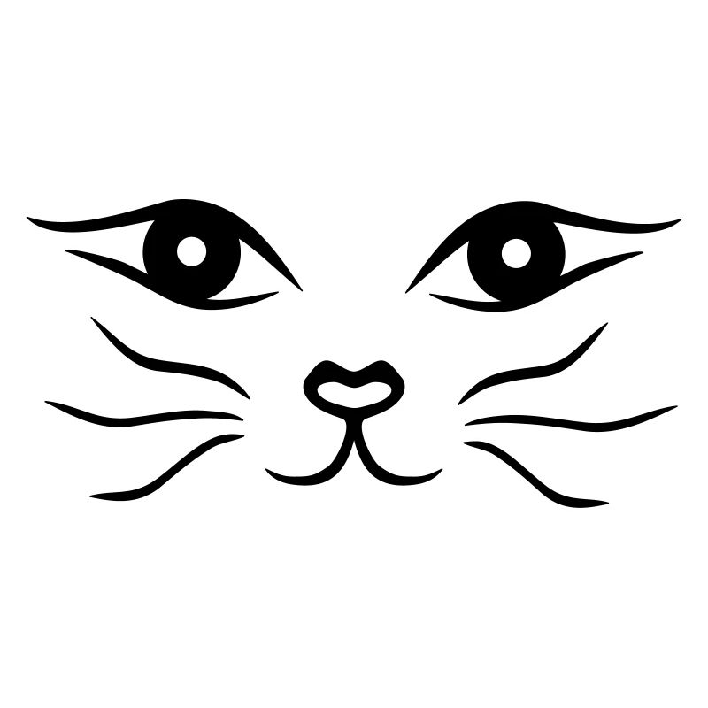Chat / Cat face