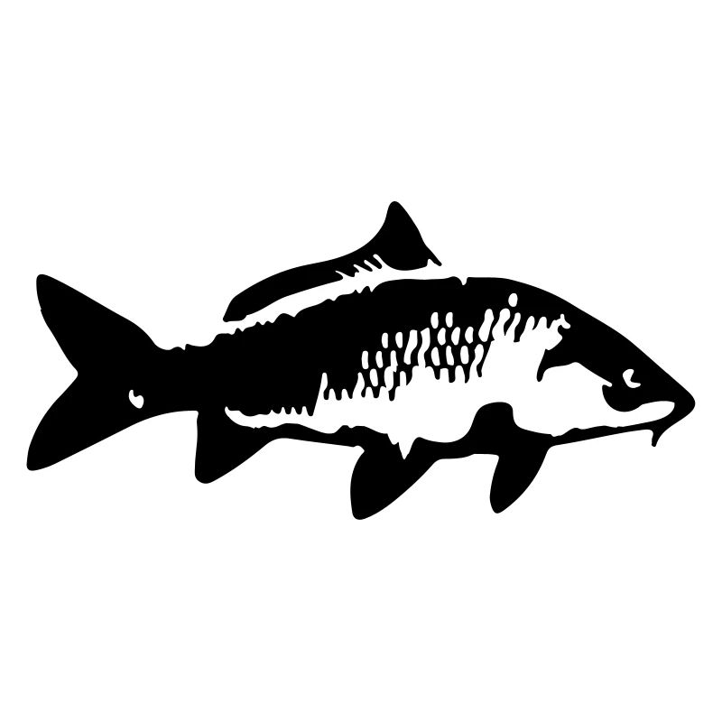 carp fish