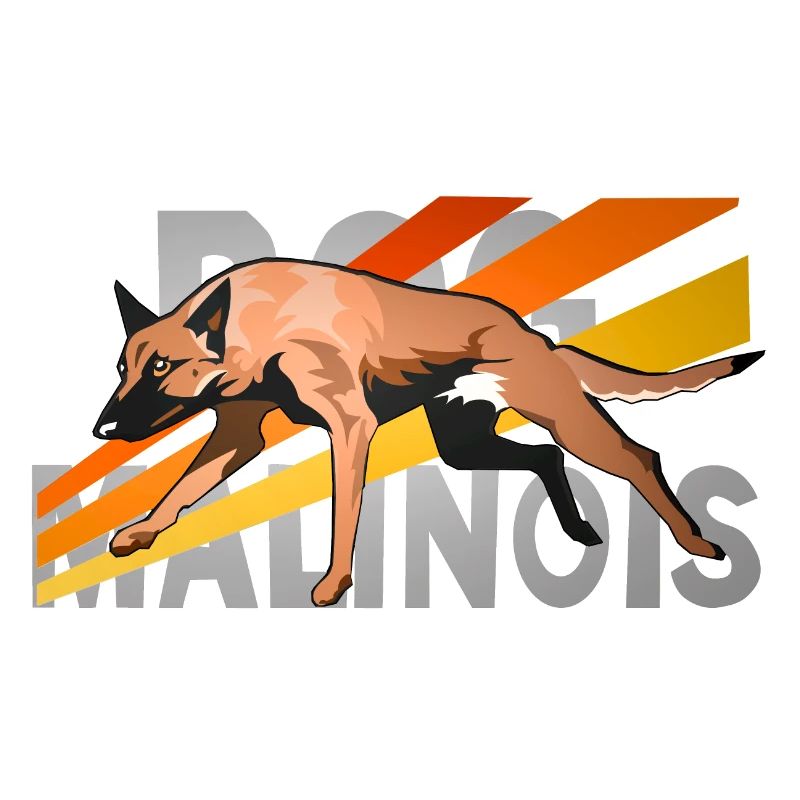 rapide malinois