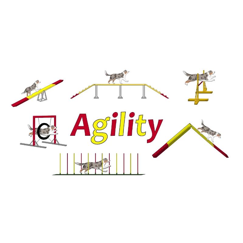 Agilité totale