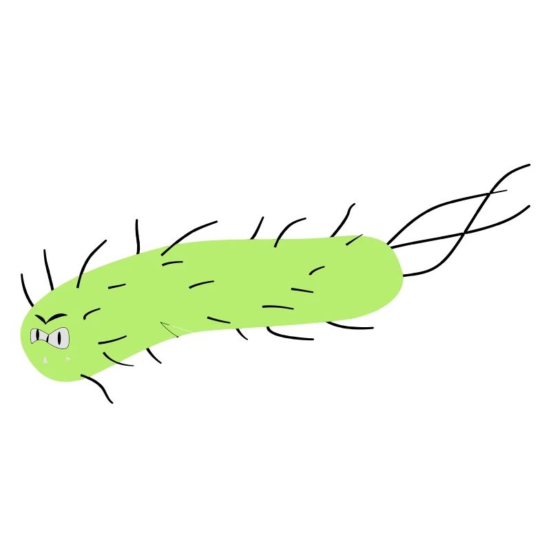 Bazille