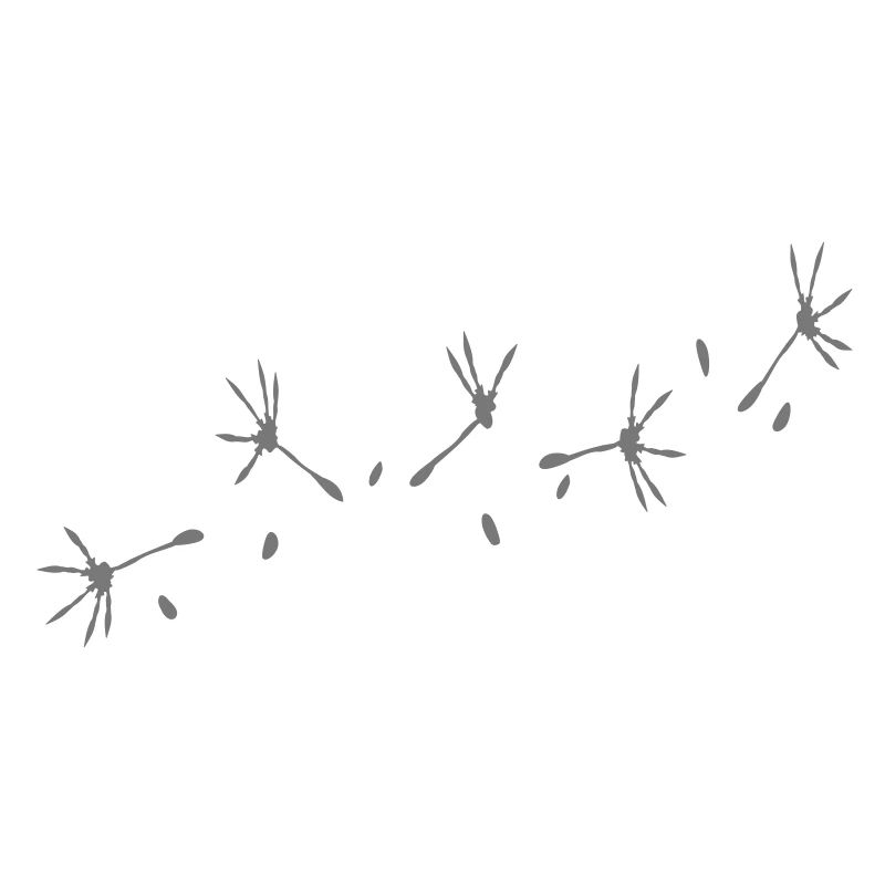 aigrette de Danelion 4