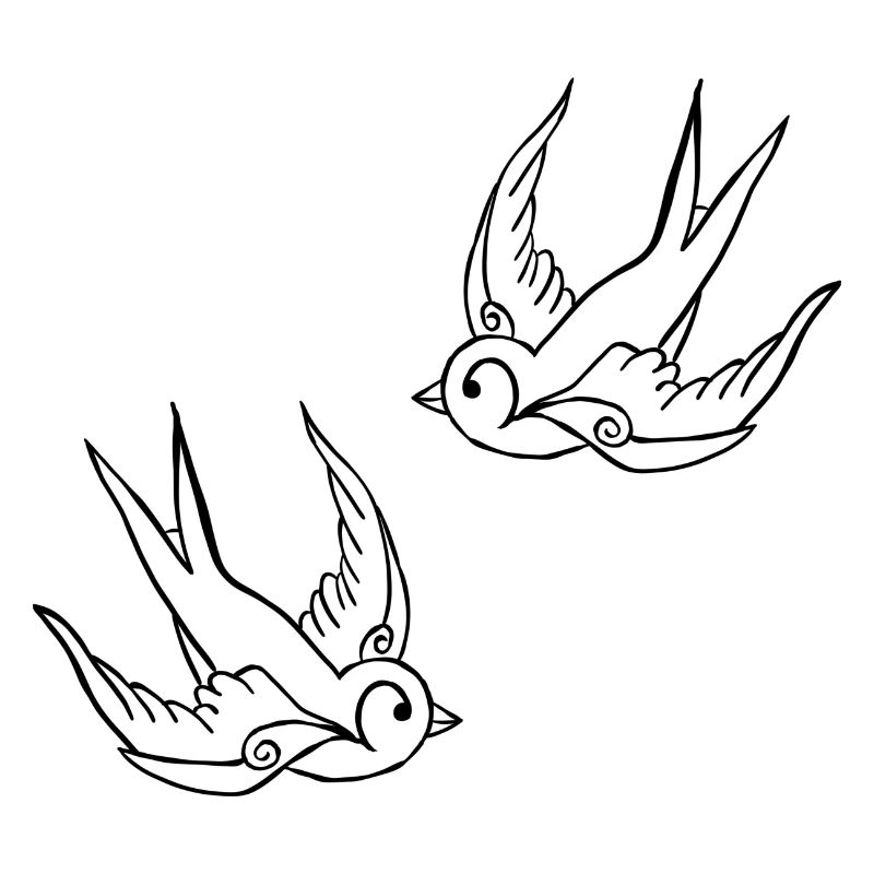 Oiseaux
