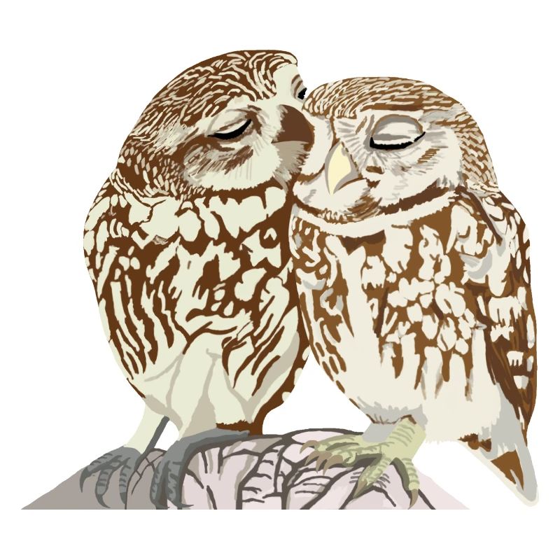 Cuddly Owls