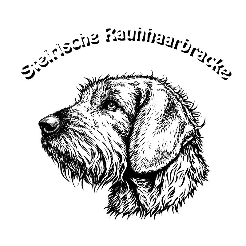Styrian Bracke Portrait