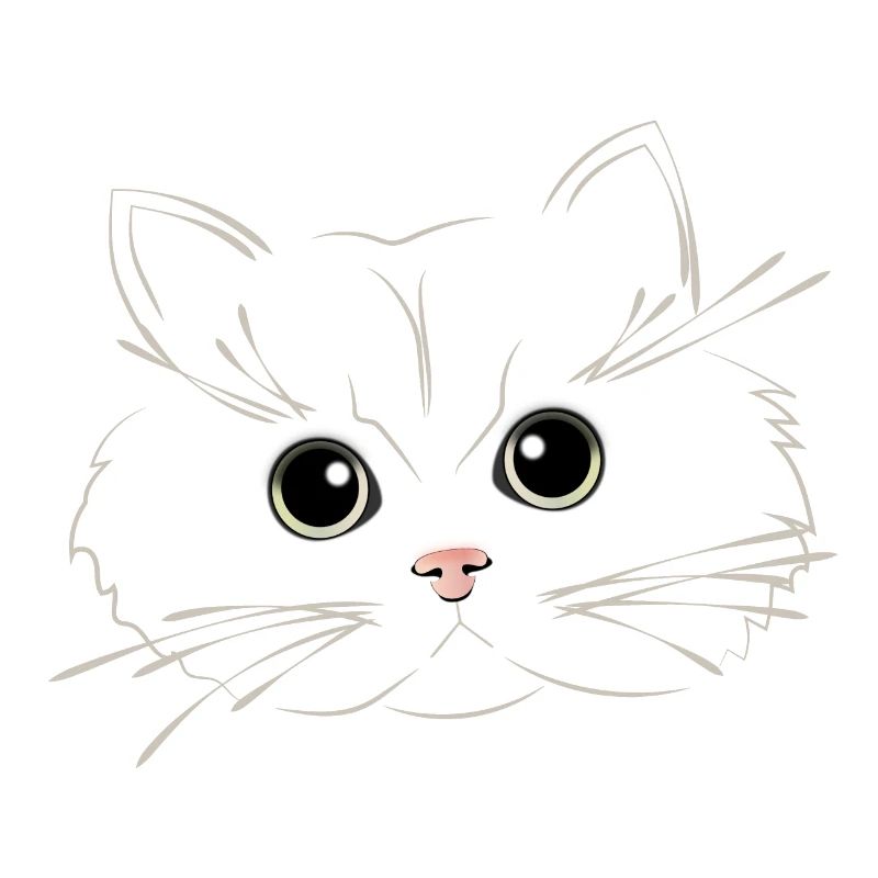 cat eyes with fluffy face