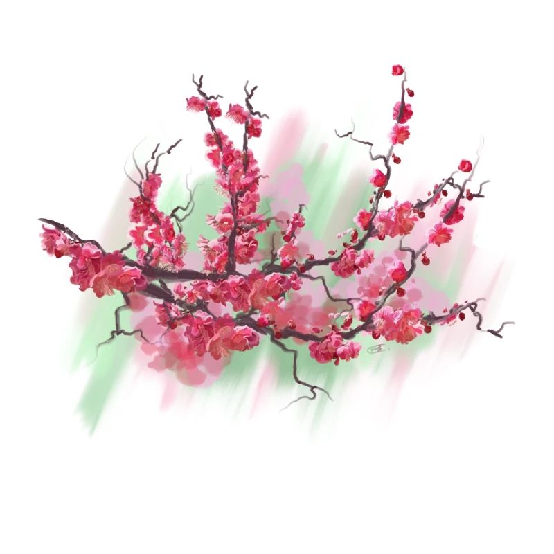 sakura
