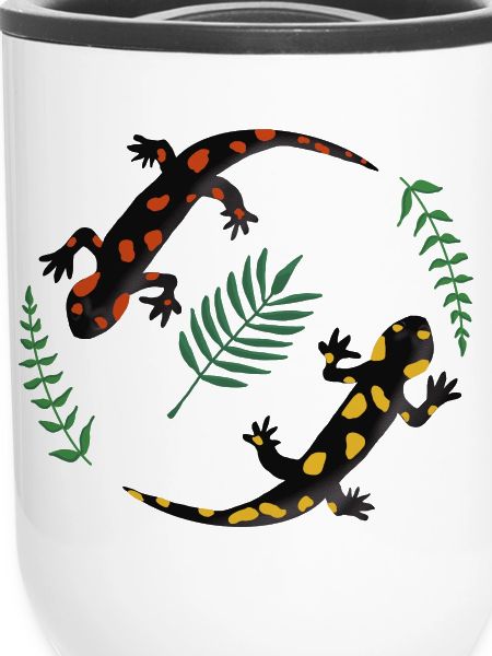 Salamander
