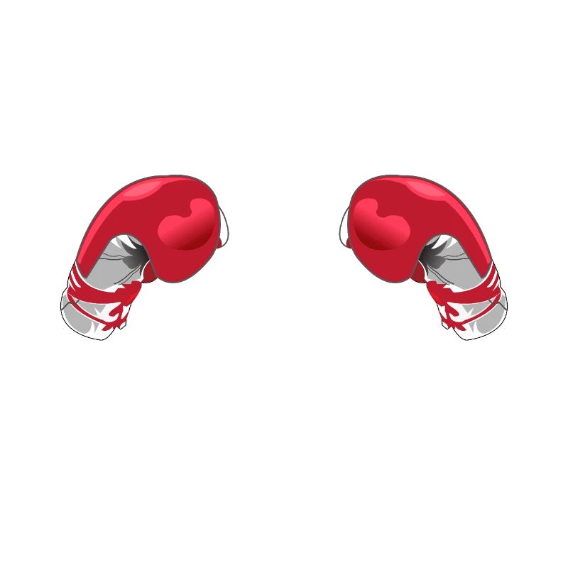 Zukunft Boxer