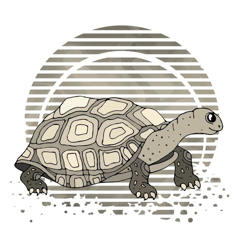 Tortoise