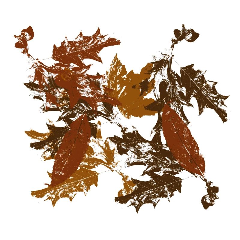 Feuilles