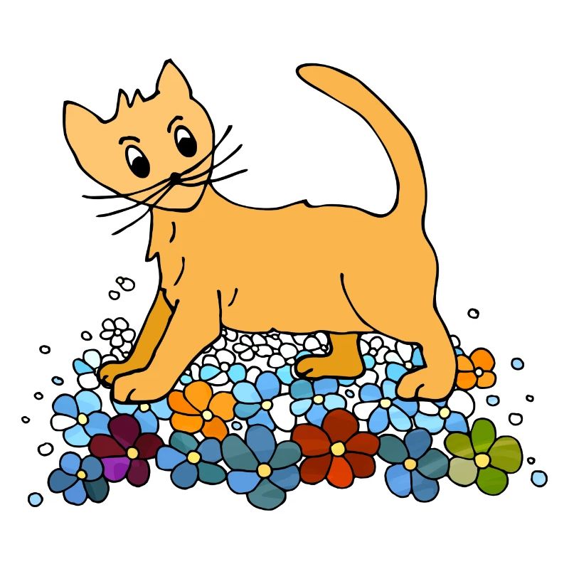Chat