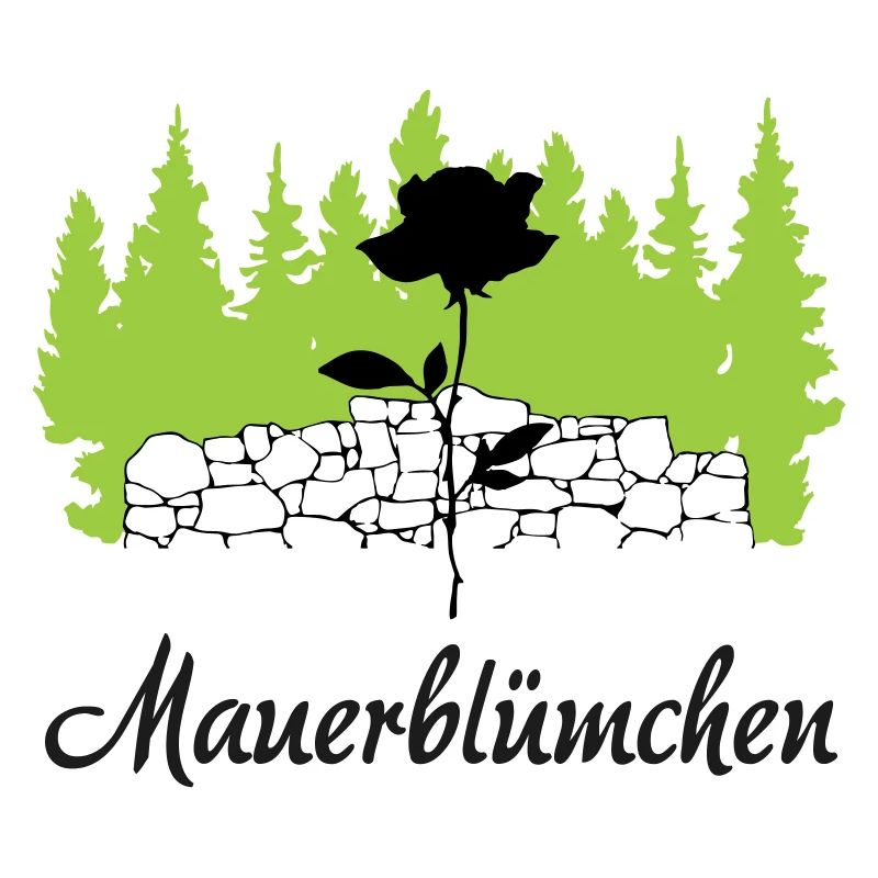 Mauerblmüchen die Schüchternheit