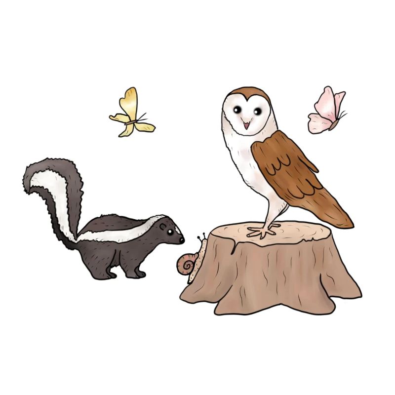 Skunk und Eule.png