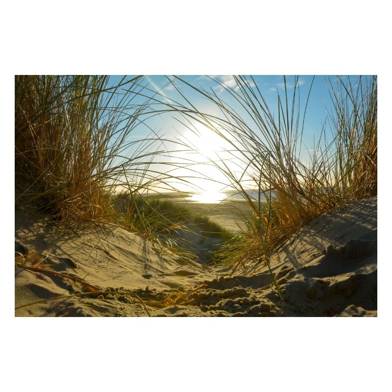 Dune idyll