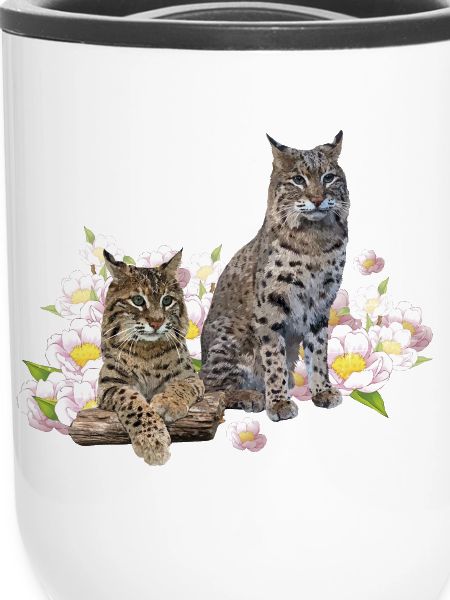 Luchs