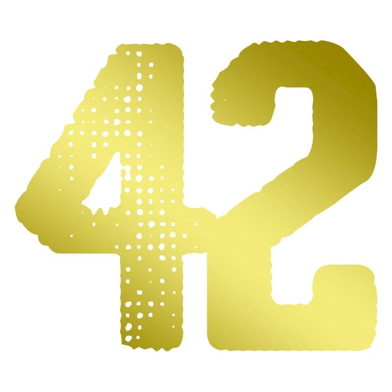 42 Number jersey