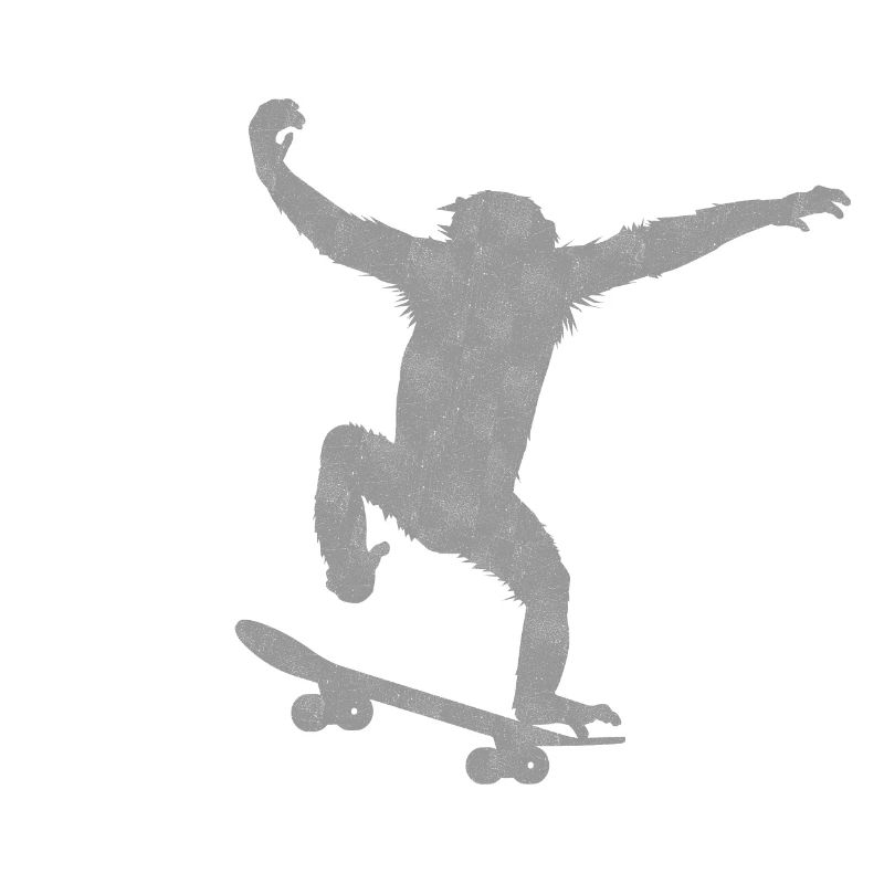 Monkey Skateboard
