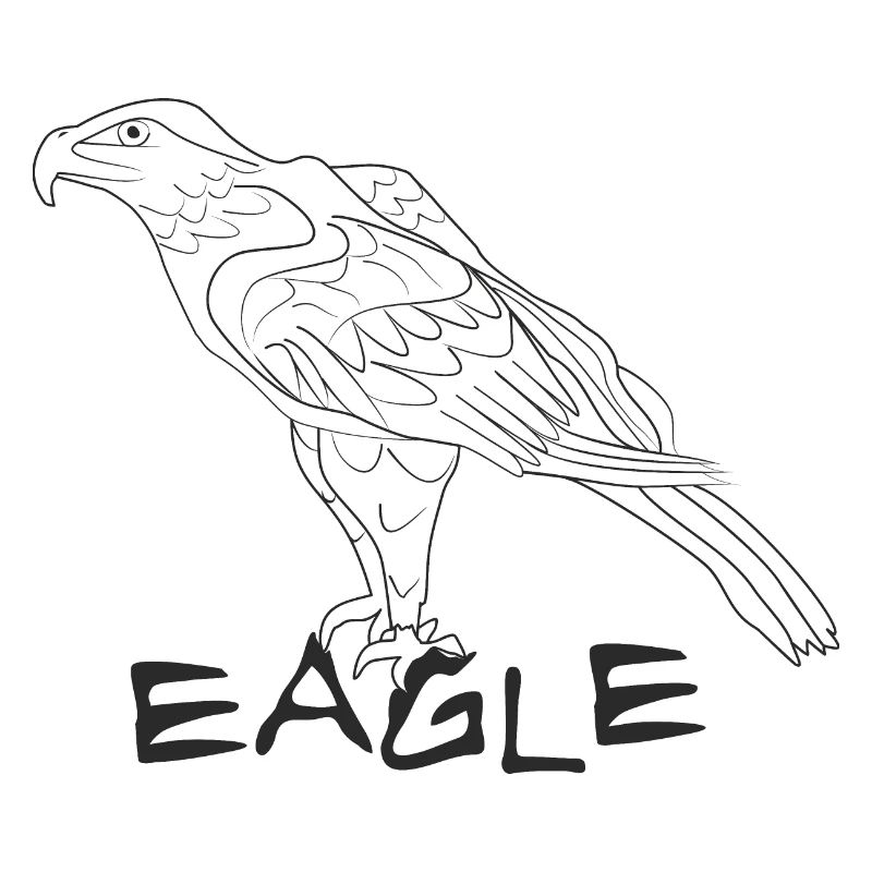 Aigle