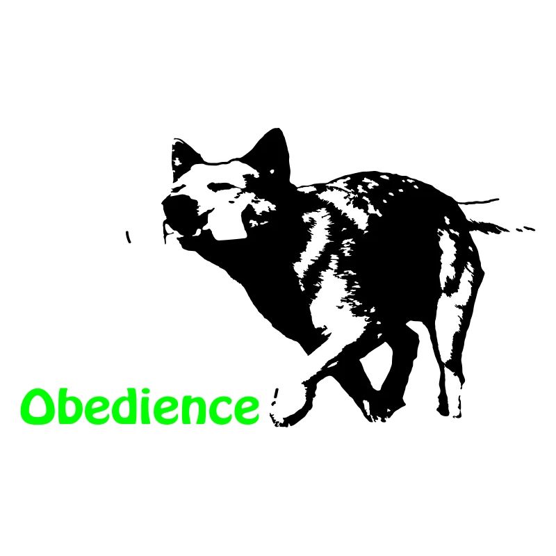 Obedience Cattledog