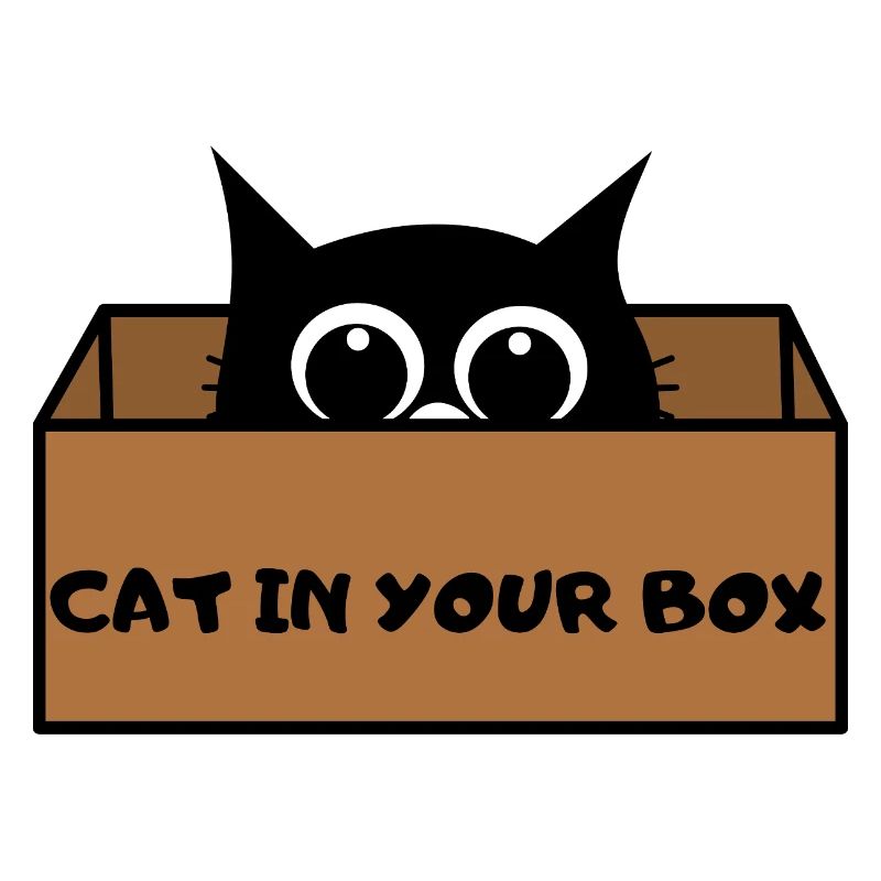 Katze in Box Peekaboo