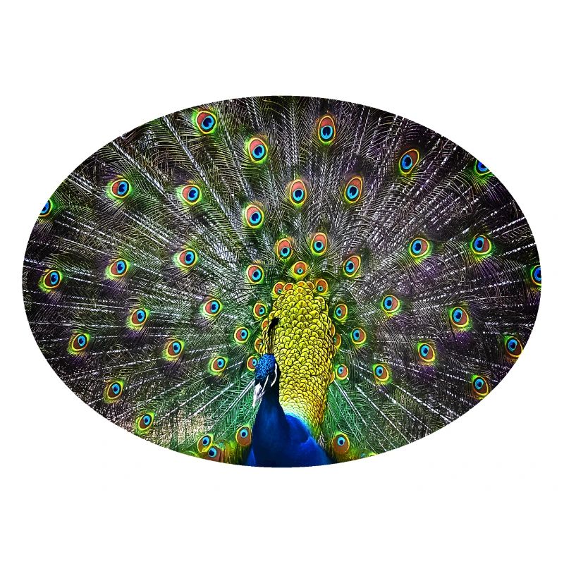 peacock