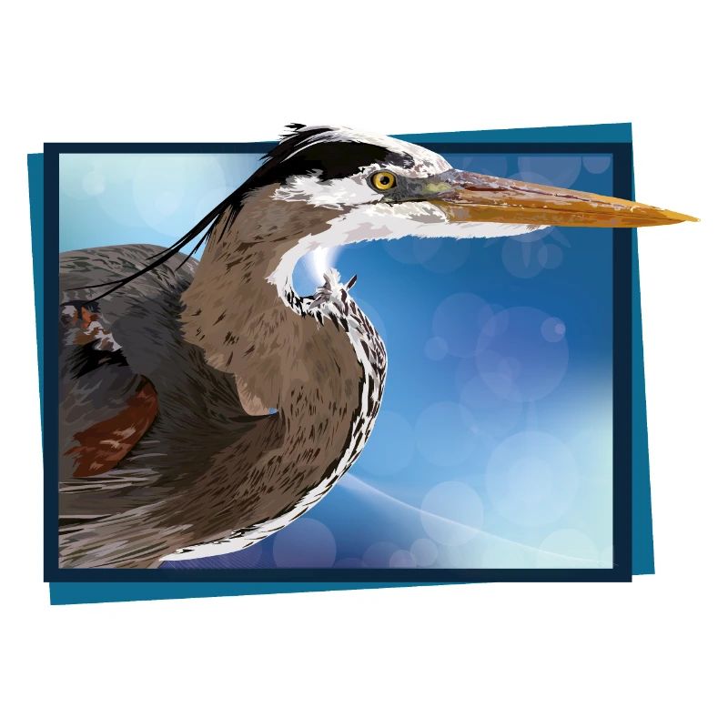 Blauer Reiher