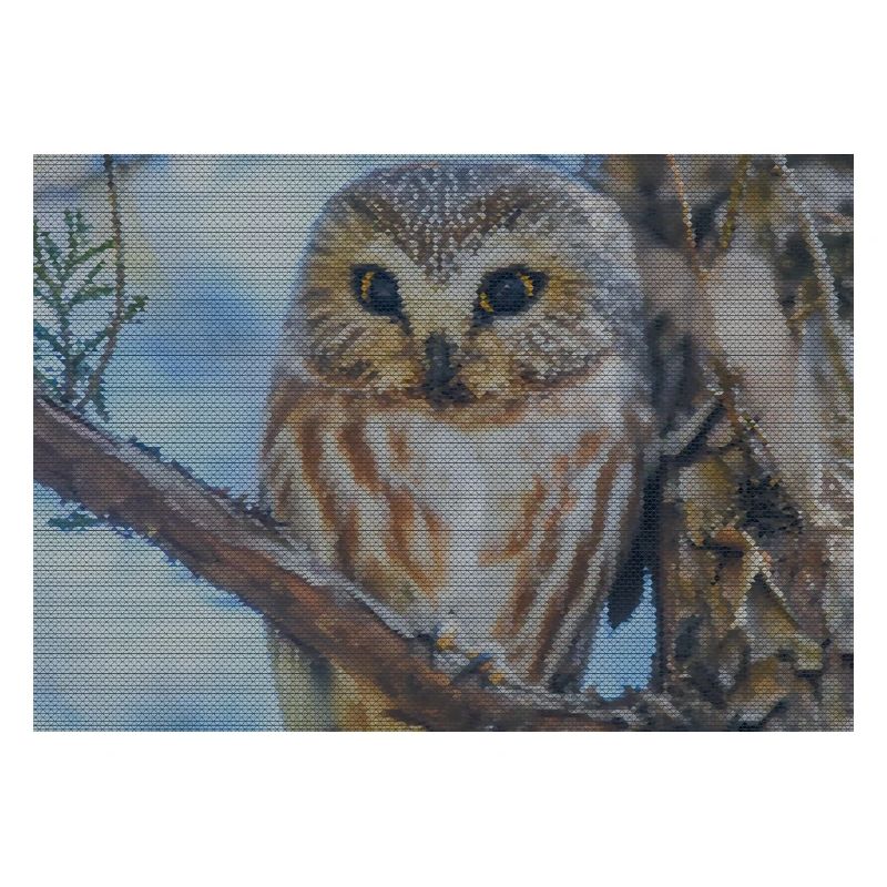 Abendwald Eulenblick