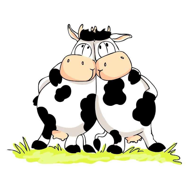 Twin Cows