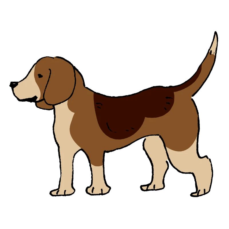 Beagle