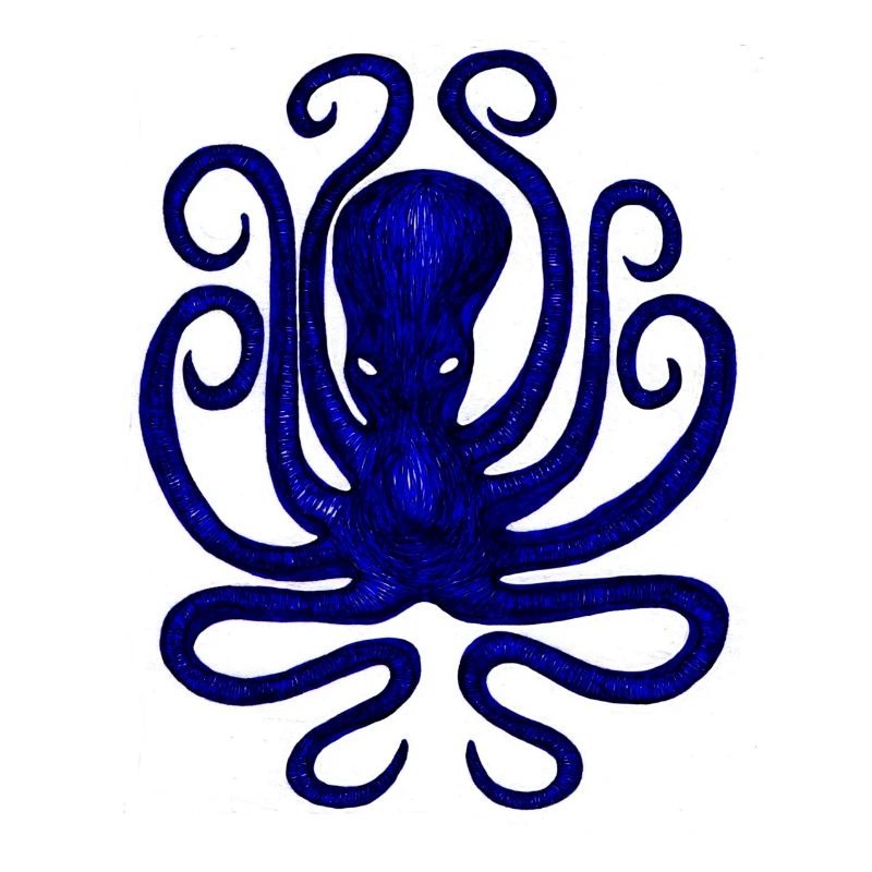 Squid - Octopus