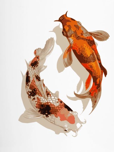 Koi-Fisch