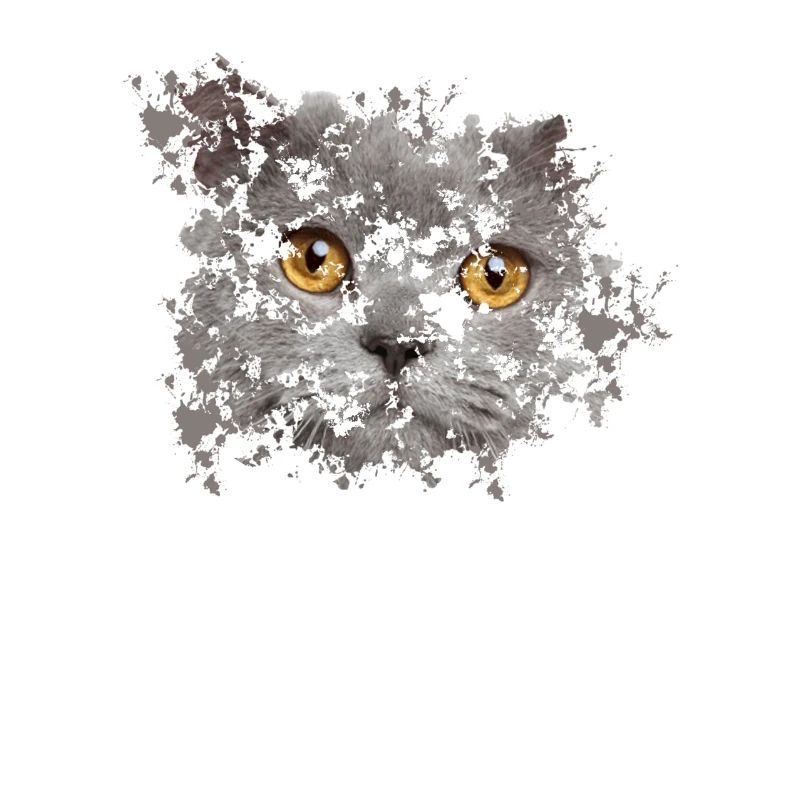 BKH Gesicht