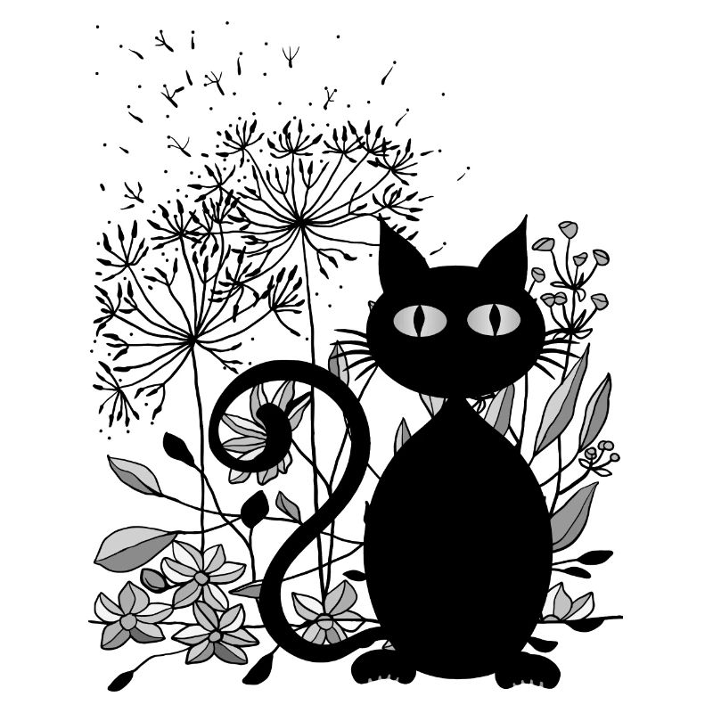Katze